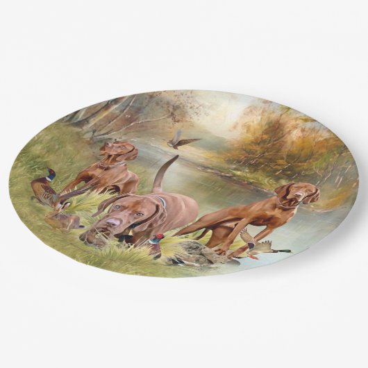 Assiettes En Carton Un aristocrate polyvalent dans la Vizsla hongroise (Angle)