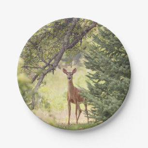 Assiettes En Carton Un cerf solitaire