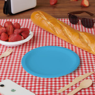 Assiettes En Carton un fond bleu avec un chat noir et blanc dessus