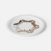 Assiettes En Carton Un plat de mite (Angle)