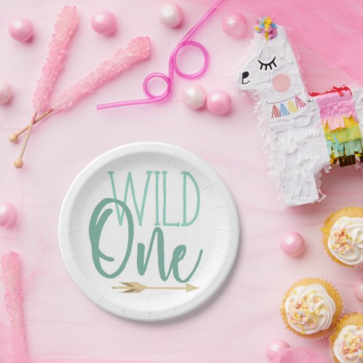 Assiettes En Carton Un sauvage | Bleu | Première fête d'anniversaire (Fête)