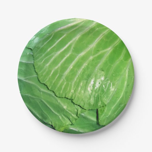 Assiettes En Carton Une tête de chou (Devant)