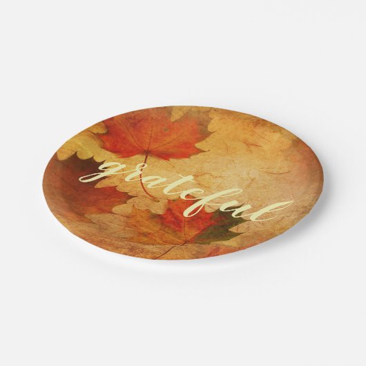 Assiettes En Carton Vacances Thanksgiving Automne (Angle)