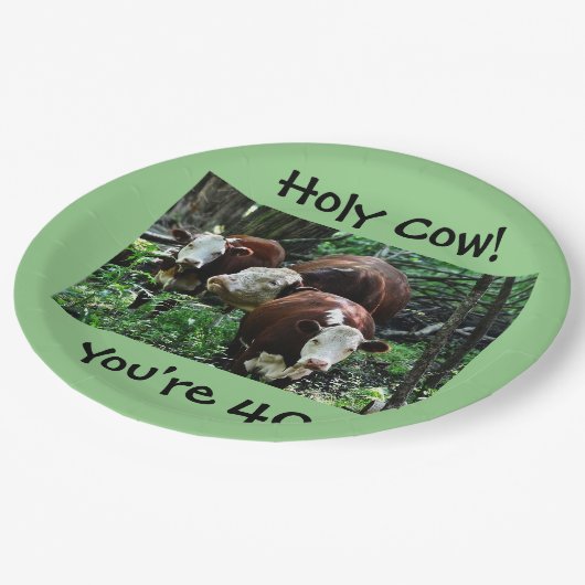 Assiettes En Carton Vache sainte vous êtes la plaque à papier 40 (Angle)