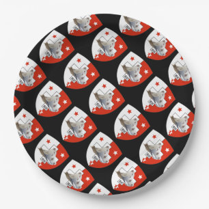 Assiettes En Carton Valais - Valais - Suisse - Suisse Papier Teller