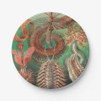 Vers, Annelids Chaetopoda par Ernst Haeckel