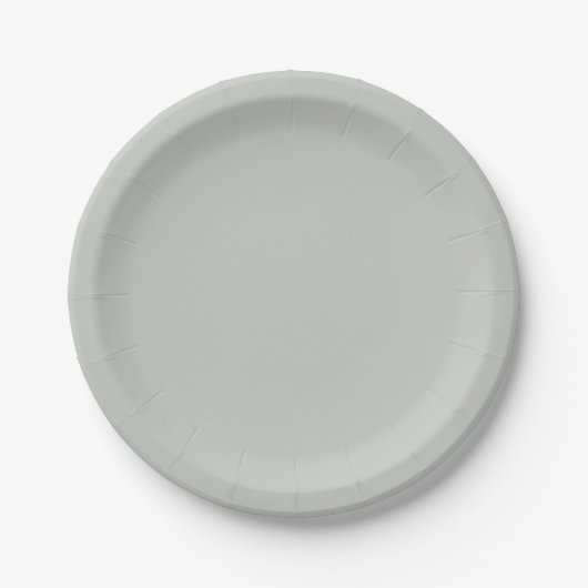 Assiettes En Carton Vert gris clair uni (Devant)