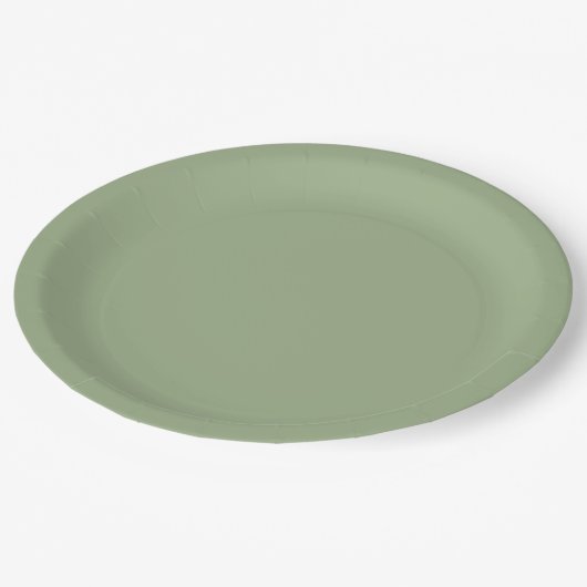 Assiettes En Carton Vert sage (Angle)