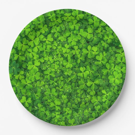 Assiettes En Carton vert shamrock, Saint Patrick's Day, (Devant)