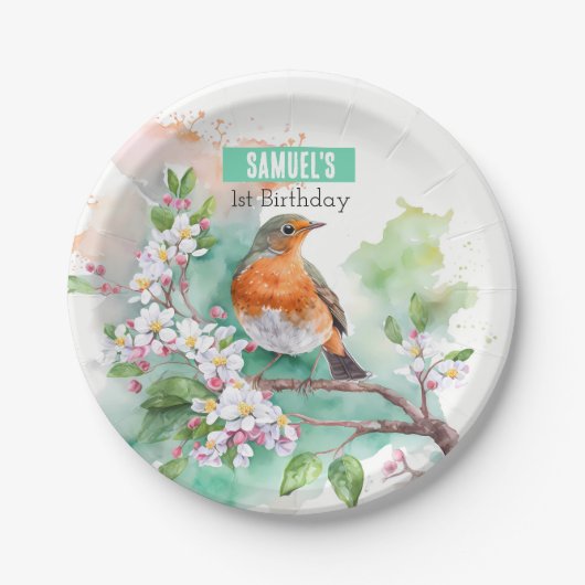 Assiettes En Carton Vibes de printemps Robin - Fête d'anniversaire - (Devant)