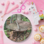 Assiettes En Carton Vieux Jardin Fleur de Barbe à Roue Fête à thème (Fête)