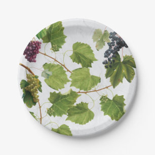 Assiettes En Carton Vignoble de raisins Ile grecque méditerranéenne