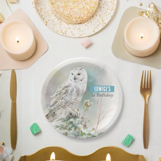 Assiettes En Carton Villes d'hiver Owl - fête d'anniversaire -