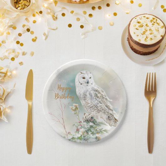 Assiettes En Carton Villes d'hiver Owl - fête d'anniversaire -