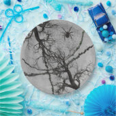 Assiettes En Carton Vins tordus et Halloween araignée (Fête)