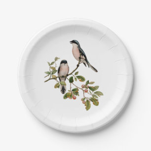 Assiettes En Carton Vintage de beaux oiseaux sur une branche