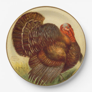 Assiettes En Carton vintage dinde Thanksgiving Plaque papier de vacanc