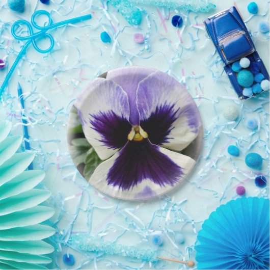 Assiettes En Carton violet profond sur blanc (Fête)