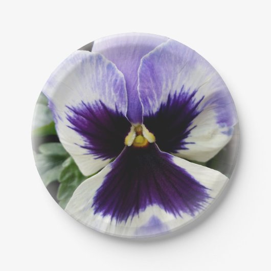 Assiettes En Carton violet profond sur blanc (Devant)