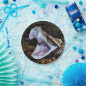 Assiettes En Carton Vipère du Gabon (Fête)