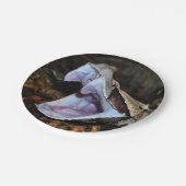 Assiettes En Carton Vipère du Gabon (Angle)