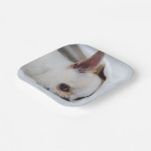 Assiettes En Carton Votre chiot chien de compagnie photo personnalisée (Angulaire)