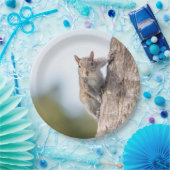 Assiettes En Carton Vous regarder ! Plaques à papier d'écureuil (Fête)