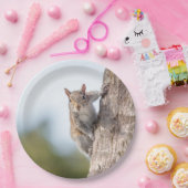 Assiettes En Carton Vous regarder ! Plaques à papier d'écureuil (Fête)