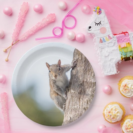 Assiettes En Carton Vous regarder ! Plaques à papier d'écureuil (Fête)