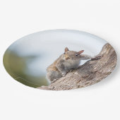 Assiettes En Carton Vous regarder ! Plaques à papier d'écureuil (Angle)