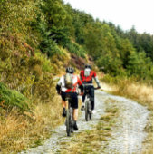 ASSIETTES EN CARTON VTT