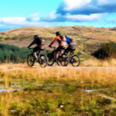 ASSIETTES EN CARTON VTT