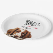 Assiettes En Carton Welsh Springer Spaniel (Angle)