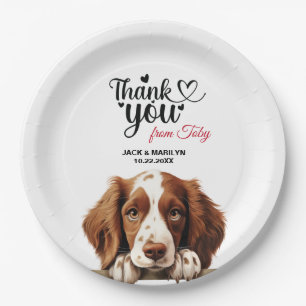 Assiettes En Carton Welsh Springer Spaniel