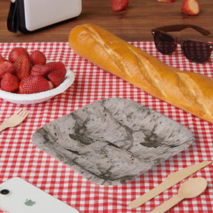 Assiettes En Carton White Birch