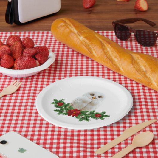 Assiettes En Carton White Snow Christmas Owl (Pique-nique)