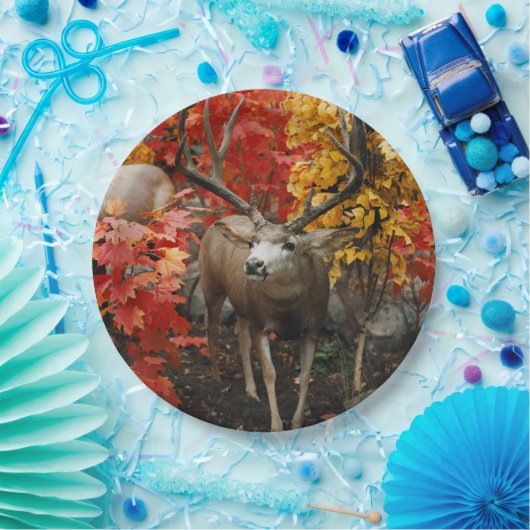 Assiettes En Carton Whitetail En Automne (Fête)