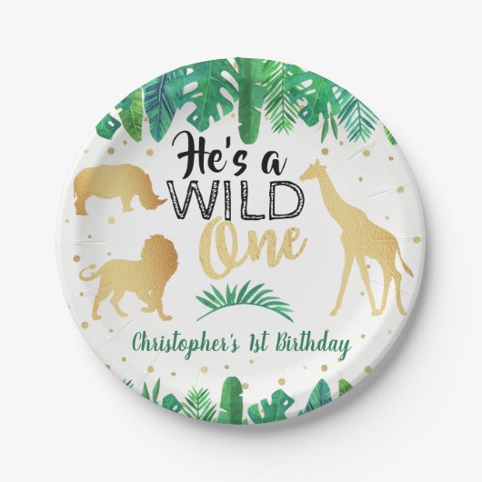 Assiettes En Carton Wild One Boys First Birthday Party (Devant)