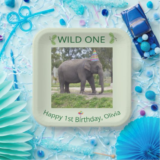 Assiettes En Carton Wild One Elephant First Birthday Celebration (Fête)