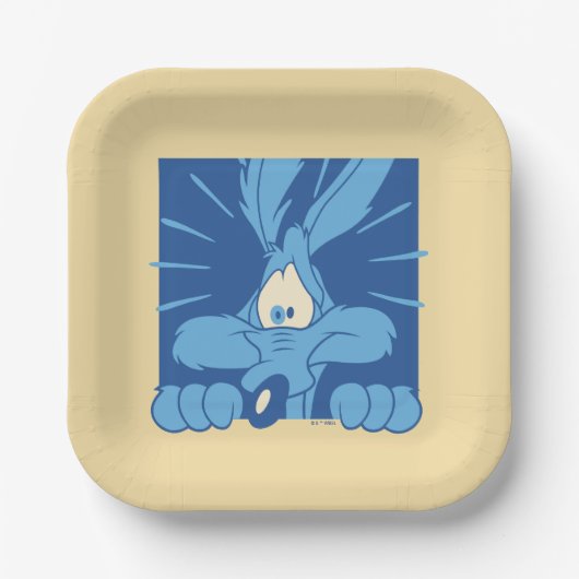 Assiettes En Carton WILE E. COYOTE™ Shocked Expression (Recto)