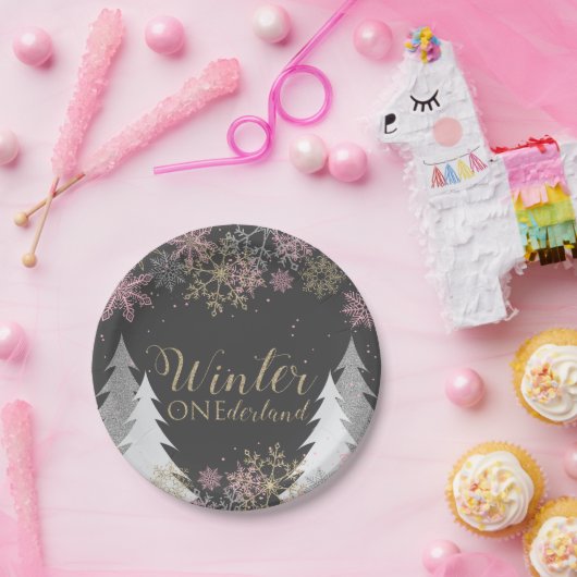 Assiettes En Carton Winter Onederland Party Plaques premier anniversai (Fête)