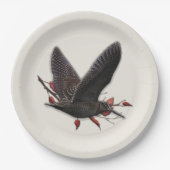 Assiettes En Carton Woodcock (Devant)