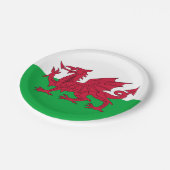 Assiettes En Carton Y Ddraig Goch : Plaque galloise de papier-drapeau (Angle)