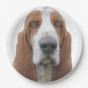 Assiettes En Carton Yeux lumineux Basset Hound