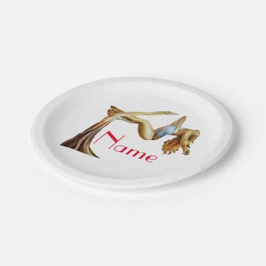 Assiettes En Carton yoga aérien Thunder_Cove (Angle)