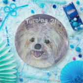 Assiettes En Carton Yorkie blanc doux Turner 3 PARTI (Fête)