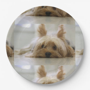 Assiettes En Carton Yorkshire-Terrier flat.png