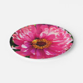 Assiettes En Carton Zinnia rose (Angle)