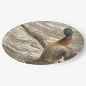 Assiettes en papier Canard colvert (Angle)