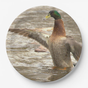 Assiettes en papier Canard colvert